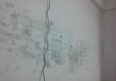 警惕！墙面发霉危害可能远比甲醛还凶！