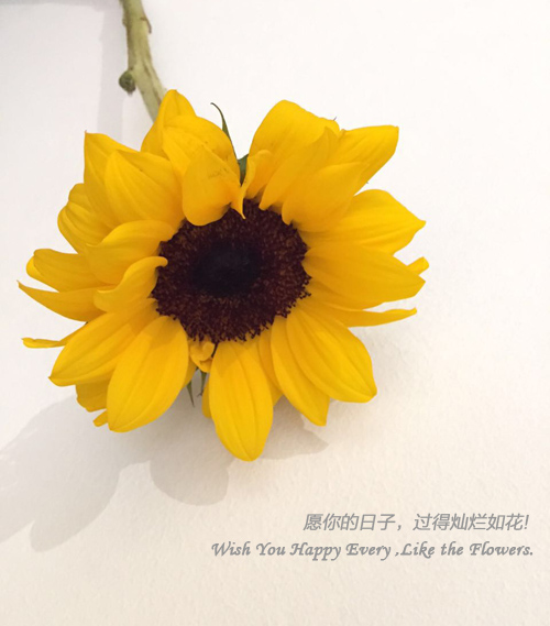 如何让墙面不发霉，安全渡过回南天？