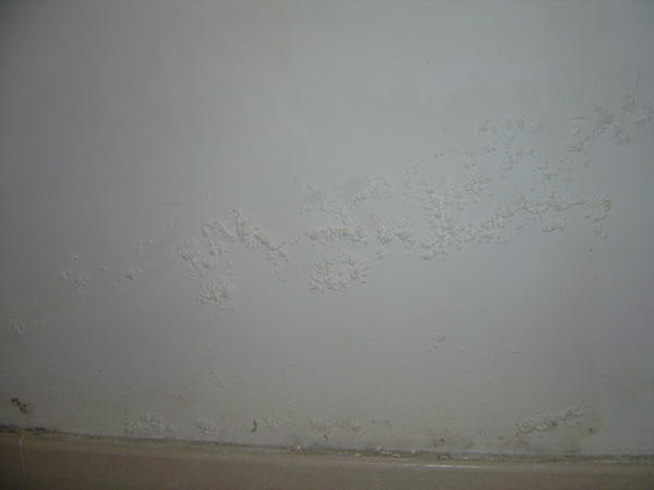 墙面为什么涂刷底漆，具体作用有哪些？_墙面漆底漆