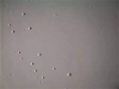 家装乳胶漆涂层产生气泡是什么问题？