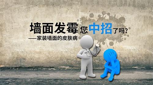 墙面乳胶漆发霉危害