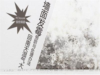 墙面乳胶漆发霉原因，该怎么处理？