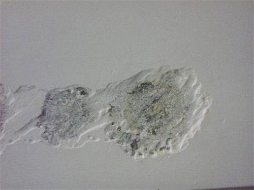 墙面乳胶漆装修腻子要不要铲掉？