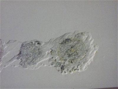 墙面乳胶漆装修腻子要不要铲掉？