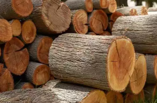 涂刷水性木器漆涨筋很有可能与木材有关_木器漆|大荷水性漆